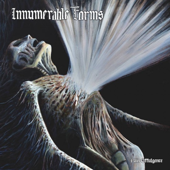 INNUMERABLE FORMS - PAIN EFFULGENCE