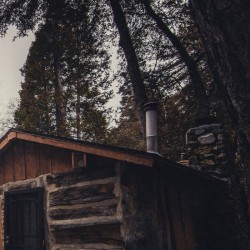 RAMIHRDUS - THE SORROW OF THE EVERGREENS (DIGI)