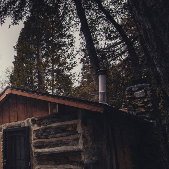 RAMIHRDUS - THE SORROW OF THE EVERGREENS (DIGI)