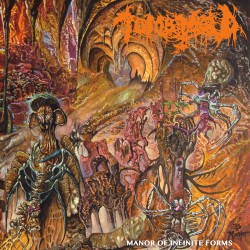 TOMB MOLD - MANOR OF INFINITE FORMS