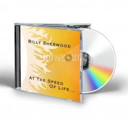 BILLY SHERWOOD - AT THE SPEED OF LIFE…