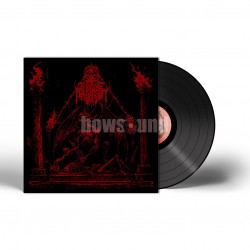 CHAOS PERVERSION - PETRIFIED AGAINST THE EMANATION (10 INCH BLACK VINYL)