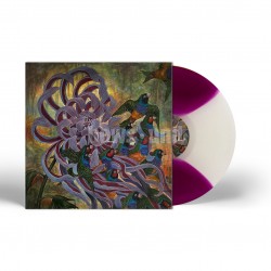 COVET - TECHNICOLOR (BUTTERFLY EFFECT WITH PURPLE WINGS VINYL)